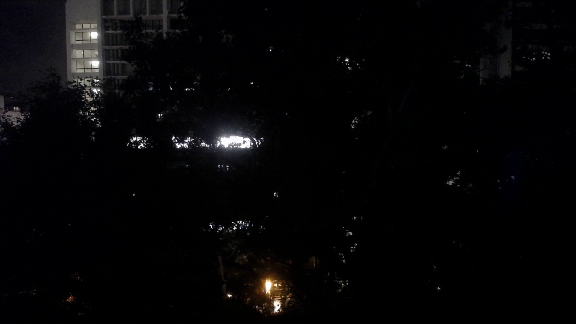 Real-time Observation Photo